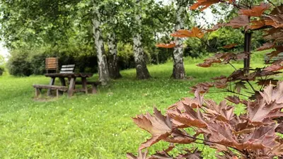 a park bench sitting in the grass with trees at Vila Aleksandra 2 Studio 11 in Soko Banja
