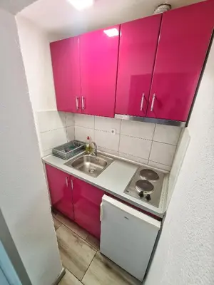 Gallery image of Vila Aleksandra 2 Studio 12 in Soko Banja