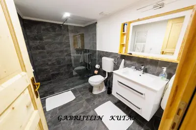 a bathroom with a toilet and a sink at Gabrielin kutak in Mužinac