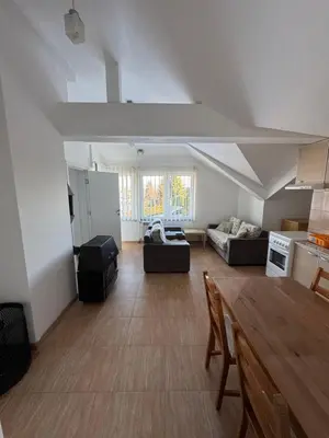 a large living room with a table and a couch at Vlasina Nature Escape in Lujinska Mala