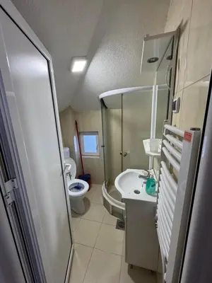 a bathroom with a toilet and a sink at Vlasina Nature Escape in Lujinska Mala