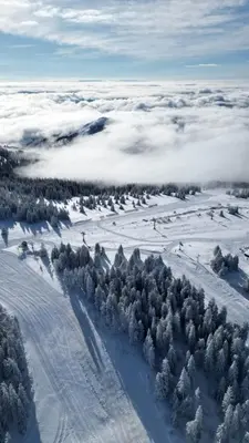 a group of people skiing down a snow covered slope at Konaci Brvenik Suites in Kopaonik