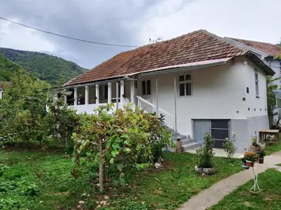 a white house with a tree in front of it at Seosko turisticko domacinstvo Milanovic in Žuč