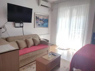 a living room with a couch and a flat screen tv at Smeštaj Galerija in Soko Banja