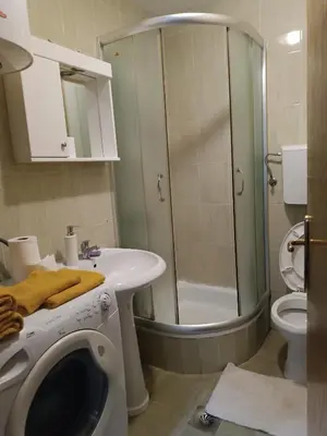 a bathroom with a shower and a sink and a toilet at Apartman Fazan in Vrnjačka Banja