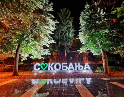 a sign that says ckologia at night at Vila Aleksandra 2 Studio 14 in Soko Banja