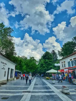 a group of people walking down a street at Vila Aleksandra 2 Studio 14 in Soko Banja