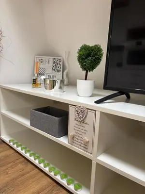 a white shelf with a tv and a plant on it at Apartman Sinđelić lux in Pirot