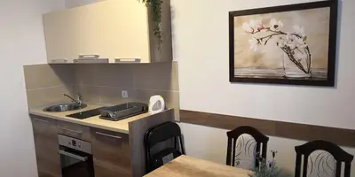 a kitchen with a sink and a table with chairs at Kraljevi Cardaci SPA Aartment 1027 für 6 Personen in Kopaonik