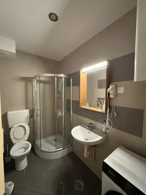 a bathroom with a shower and a toilet and a sink at Eli's APARTMENT 31 in Brzeće