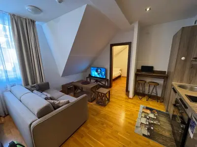 a living room with a couch and a television at Eli's APARTMENT 31 in Brzeće