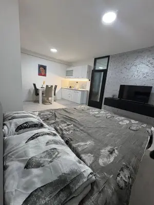 a bedroom with a large bed in a room at Fenix Apartman III in Zaječar