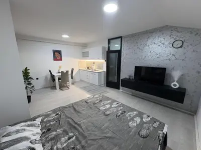 a living room with a bed and a tv in it at Fenix Apartman III in Zaječar