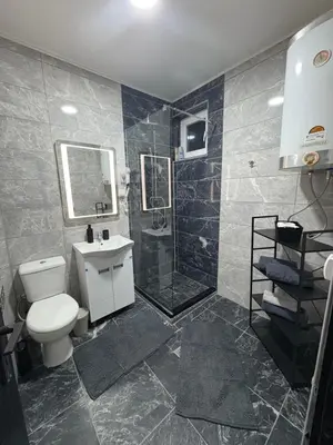 a bathroom with a toilet and a shower and a sink at Fenix Apartman III in Zaječar