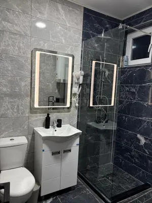 a bathroom with a toilet and a sink and a shower at Fenix Apartman III in Zaječar