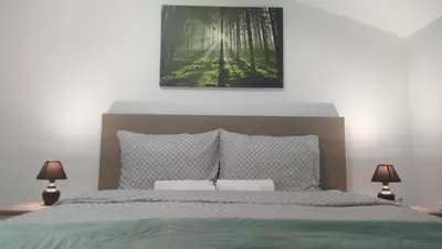 a bedroom with a bed with a picture above it at Cera maximus apartment in Soko Banja