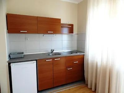 a small kitchen with wooden cabinets and a sink at Villa MILSA Half Board & Pool in Soko Banja