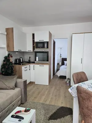 a living room with a couch and a kitchen at Apartman Kocić in Temska