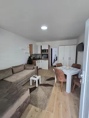 a living room with a couch and a table at Apartman Kocić in Temska