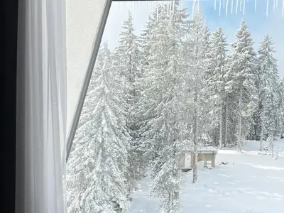 a window view of a snow covered forest with trees at Mountain stars Kopaonik in Kopaonik