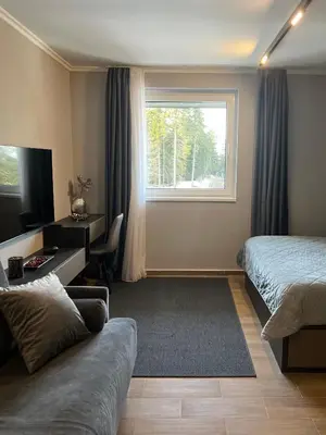 a bedroom with a couch and a bed and a window at Mountain stars Kopaonik in Kopaonik