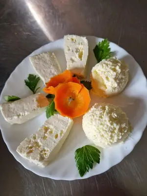 a white plate of food with different types of cheese at Ribnjak Filopivic in Pleš