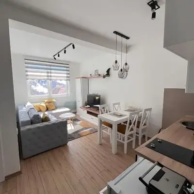 KopStar Apartment Kopaonik 19