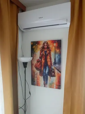 a painting of a woman hanging on a wall at Apartman Petar i Dunja in Vranje