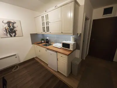 a kitchen with white cabinets and a microwave on a counter at Apartman Alastra AP 02 President Kop in Kopaonik