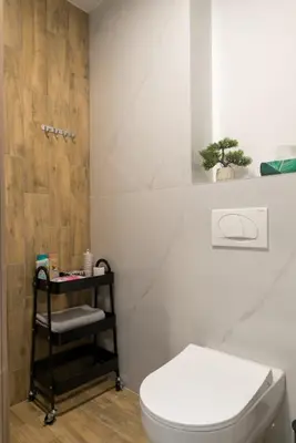 a bathroom with a toilet and a plant on a shelf at Apartman Svitanje Vrnjacka banja in Vrnjačka Banja