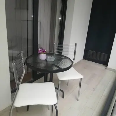 Gallery image of LEON Apartman in Vrnjačka Banja