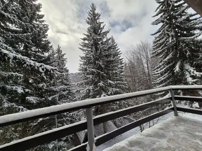 a view of a snowy forest with snow covered trees at Mountain Nook in Kopaonik