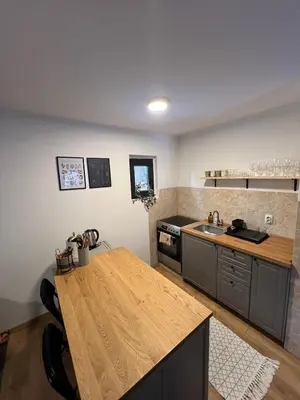 a kitchen with a counter and a sink and a stove at Mountain Nook in Kopaonik