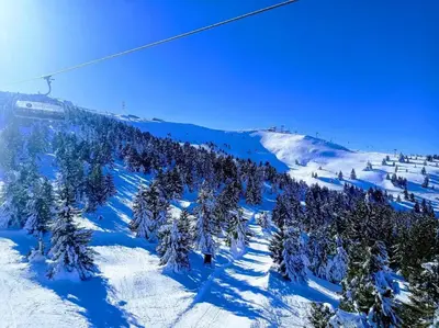 a group of trees on a ski slope with a ski lift at Deluxe Mountain View Studio ViS in Residence Hill Hotel Kopaonik in Kopaonik