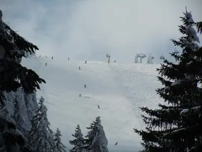 a group of people skiing down a snow covered slope at Vila Nikola 202 centar in Kopaonik