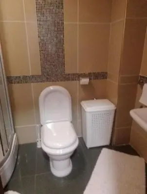 a bathroom with a white toilet and a sink at Nektar 88 Lux in Vrnjačka Banja
