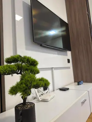 a small pine tree sitting on a desk with a tv at Apartman Filip2 in Kruševac