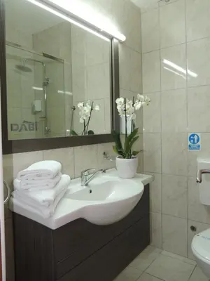 a bathroom with a sink with a vase of flowers on it at Guest House Dabi in Kruševac