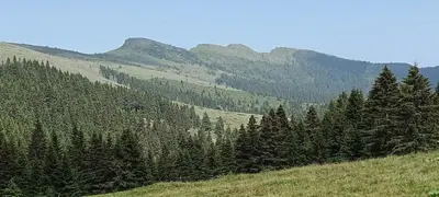 a grassy hill with trees and mountains in the background at Planinska kuća Arbinje in Dojkinci