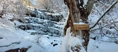 a sign on a tree in a snow covered forest at Planinska kuća Arbinje in Dojkinci