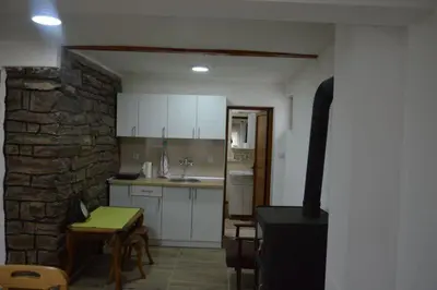 a kitchen with a stone wall and a stove at Planinska kuća Arbinje in Dojkinci