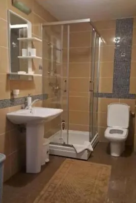 a bathroom with a shower and a sink and a toilet at Apolon Spa Lux in Vrnjačka Banja