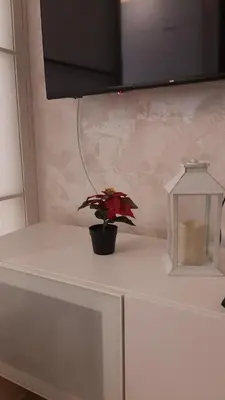 a plant sitting on top of a white table at Tontic Lux Residence Hill 54 in Kopaonik