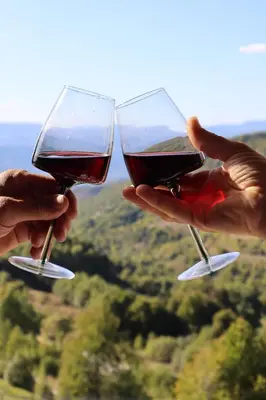 two people holding two glasses of red wine at Apartman TAUNUS in Kopaonik