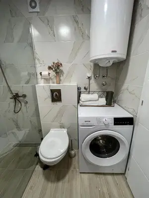 a bathroom with a washing machine and a toilet at Zlatkovic Family in Pirot