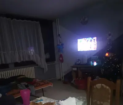 a living room with a christmas tree and a television at Zorana in Niš