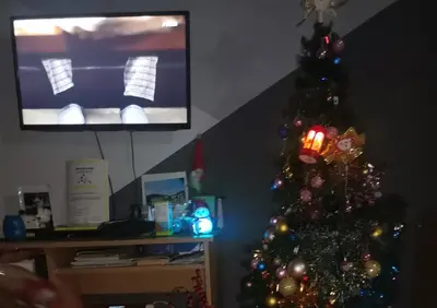 a christmas tree in a living room with a television at Zorana in Niš