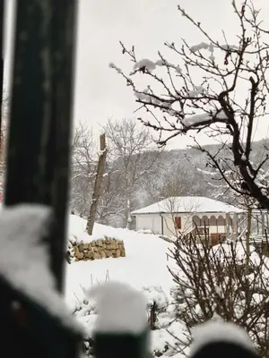 a snow covered yard with a house and a tree at Serbina in Kandalica
