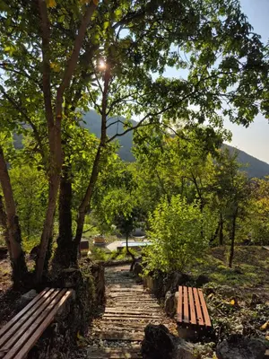 a wooden path with two benches in a park at Serbina in Kandalica