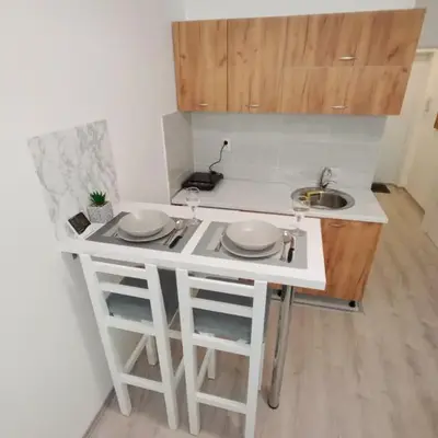 Apartman-studio Sokobanja